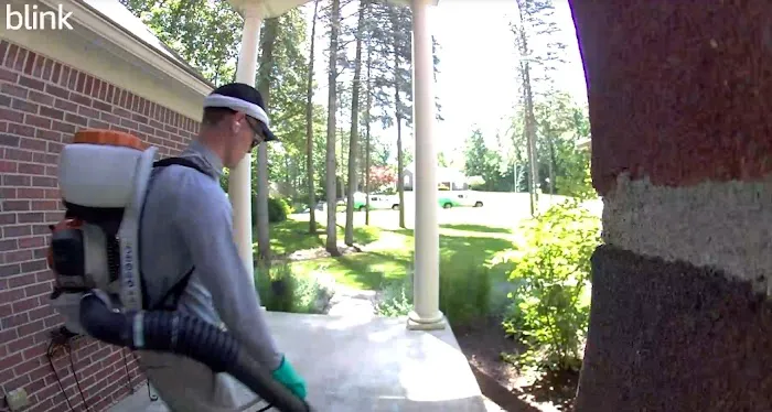 Greenix Pest Control Picture 2