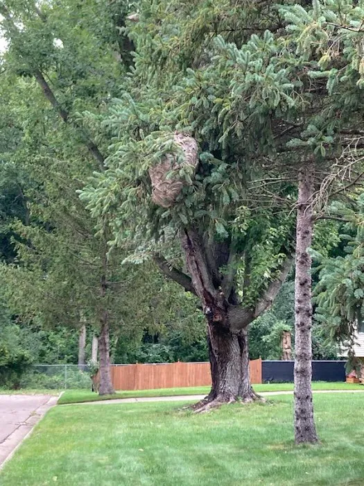 Patriot Pest Control Picture 7