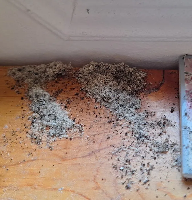Patriot Pest Control Picture 3