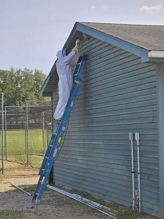 Rose Pest Solutions Kalamazoo Picture 4