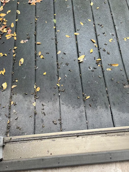 Rose Pest Solutions Kalamazoo Picture 10