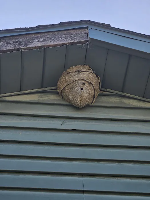 Rose Pest Solutions Kalamazoo Picture 9