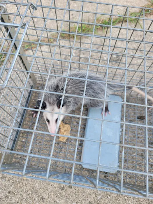 Pest Pros of Michigan Picture 1