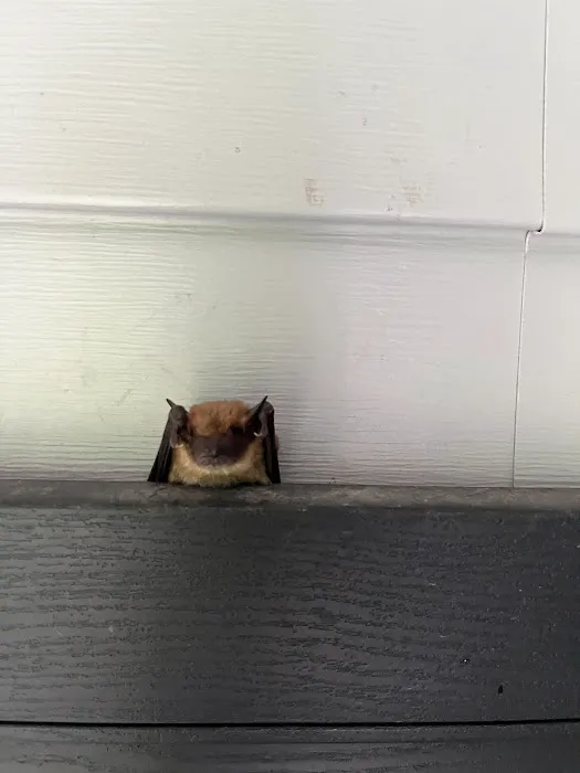 Pest Pros of Michigan Picture 9
