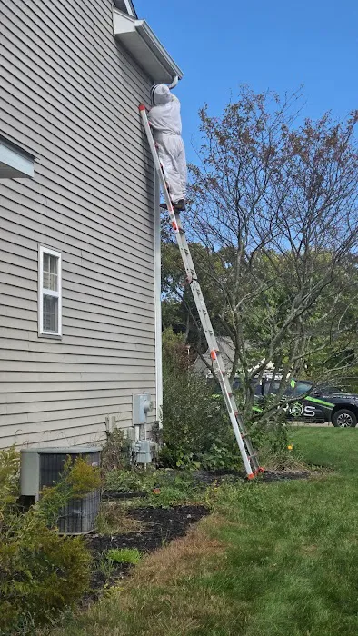 Pest Pros of Michigan Picture 2