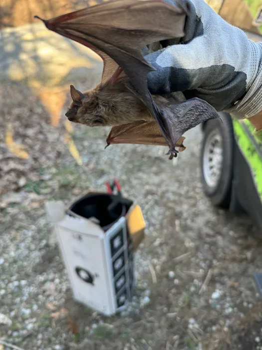 Pest Pros of Michigan Picture 4