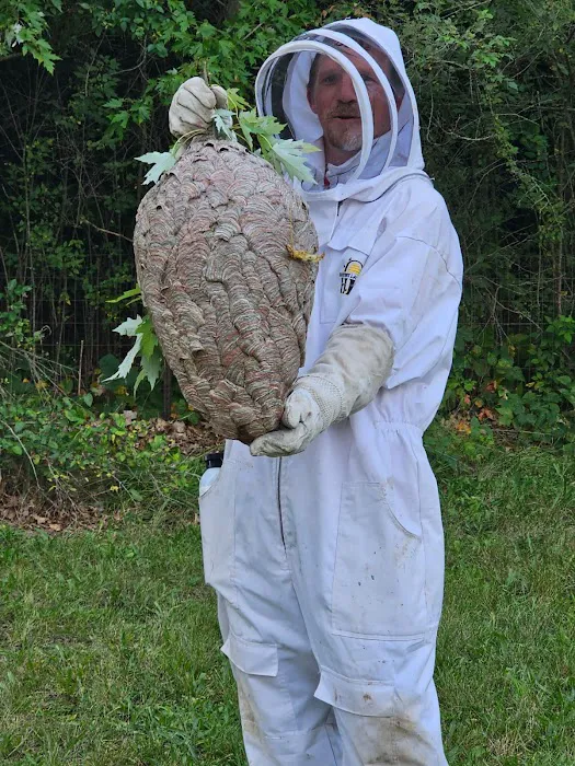 Stratex Pest Control Picture 6