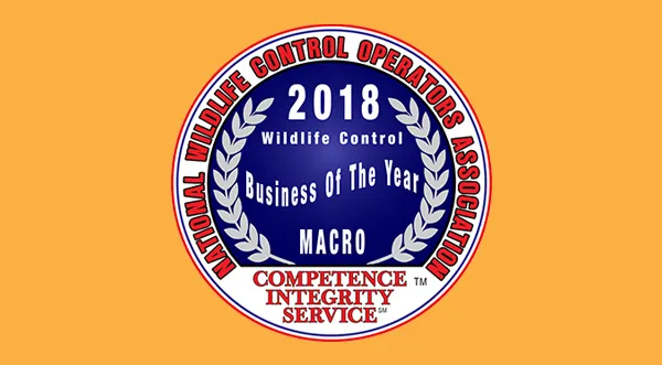 Varment Guard Wildlife Services Picture 1