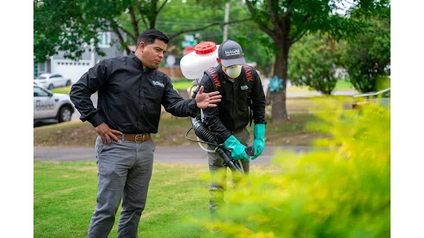 Magna Pest Solutions Picture 5