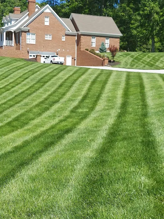 Lawn Doctor of Greeneville-Morristown-Rogersville Picture 1