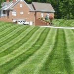 Lawn Doctor of Greeneville-Morristown-Rogersville