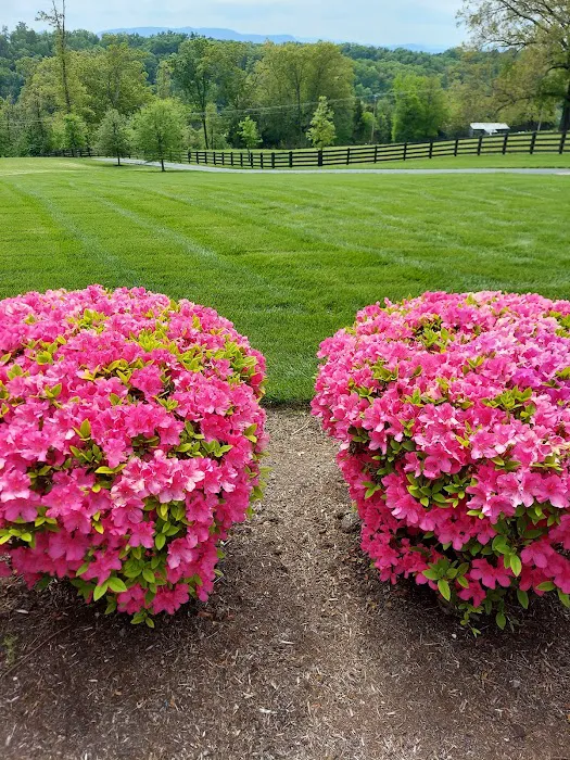 Lawn Doctor of Greeneville-Morristown-Rogersville Picture 7