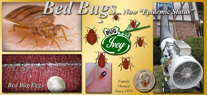 Ivey Exterminating Inc Picture 2
