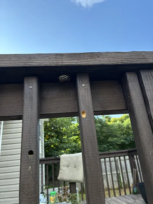 ProForce Pest Control - Charlotte Picture 3