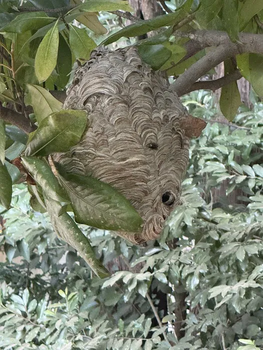 Charlotte Exterminating inc Picture 9