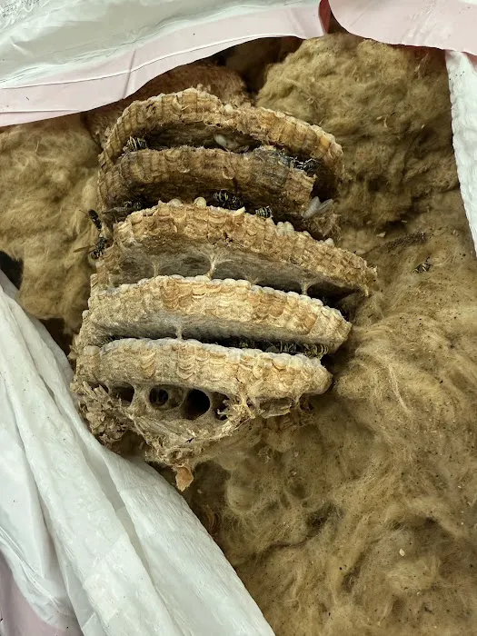 Charlotte Exterminating inc Picture 7