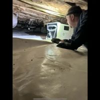 Charlotte Exterminating inc ico