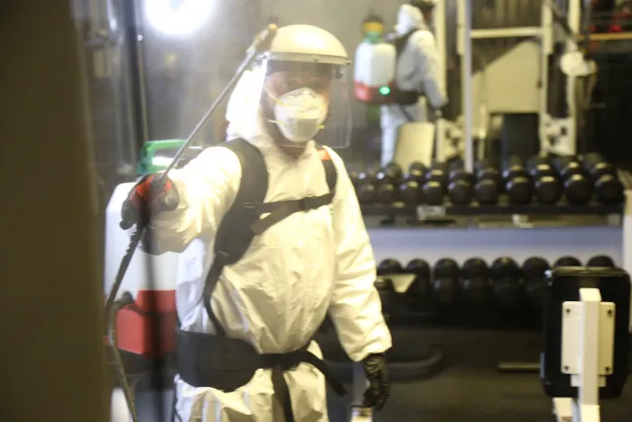 Remedy Pest Control Picture 6
