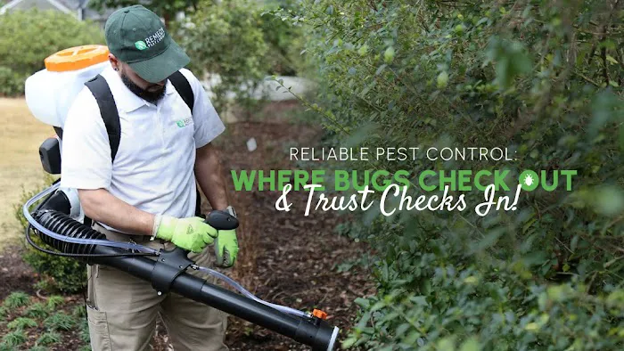 Remedy Pest Control Picture 7