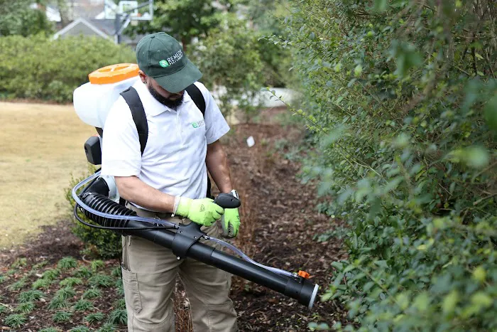 Remedy Pest Control Picture 5