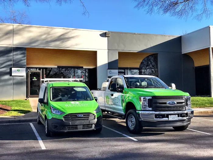 Remedy Pest Control Picture 9