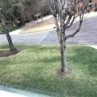 Killingsworth Environmental ico