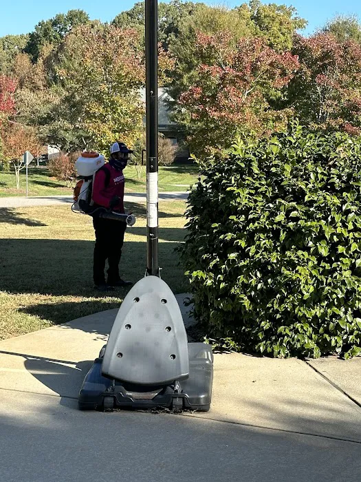 Mosquito & Pest Authority of Charlotte Picture 3