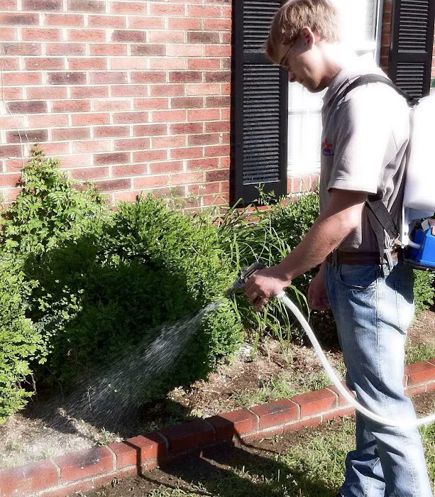 Jones Pest Control Solutions Picture 6