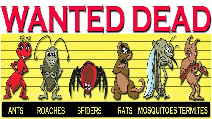 Jones Pest Control Solutions Picture 4