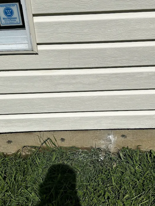 Crown Pest Control Picture 8