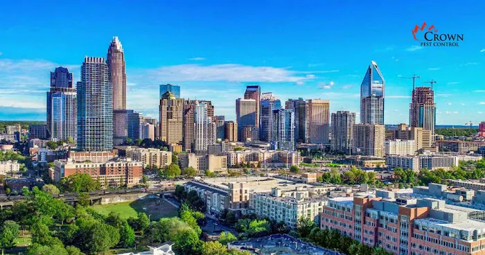 Crown Pest Control Picture 4