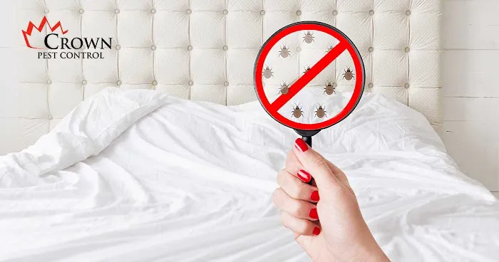 Crown Pest Control Picture 2