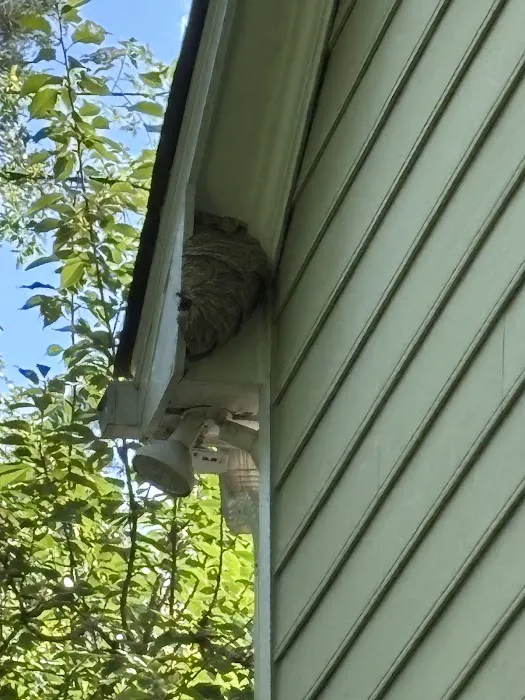 Bulwark Exterminating Picture 8