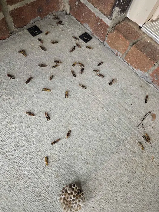 Bulwark Exterminating Picture 10