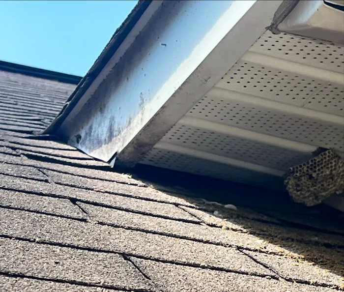 PCA Wildlife LLC Picture 5