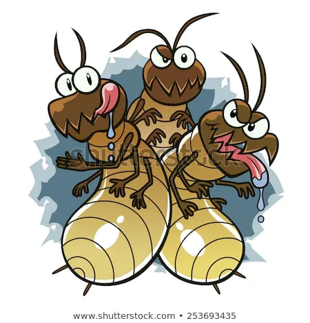 The Pest Control Authority Picture 7