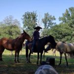Flyaway Geese & Wildlife Management