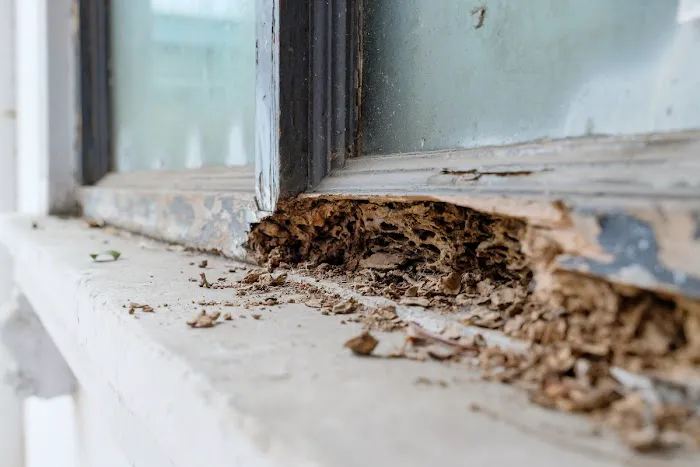 Palmetto Exterminators Picture 1