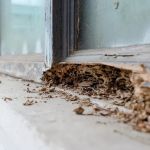 Palmetto Exterminators