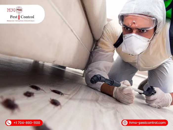 HMO - Residential and Commercial Pest Control Charlotte Picture 2