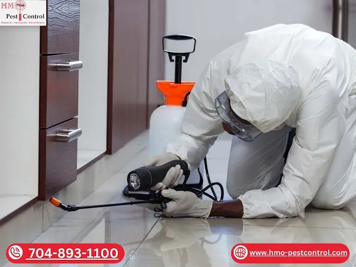 HMO - Residential and Commercial Pest Control Charlotte Picture 3