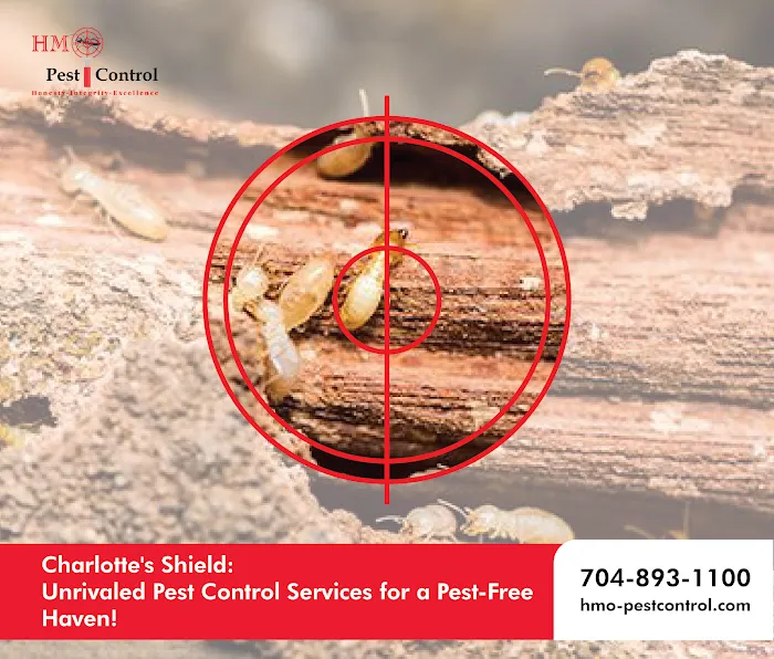 HMO - Residential and Commercial Pest Control Charlotte Picture 4