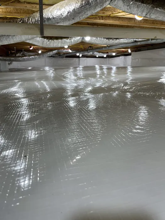 Nelon-Cole Moisture & Water Control Picture 7