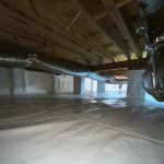 Nelon-Cole Moisture & Water Control