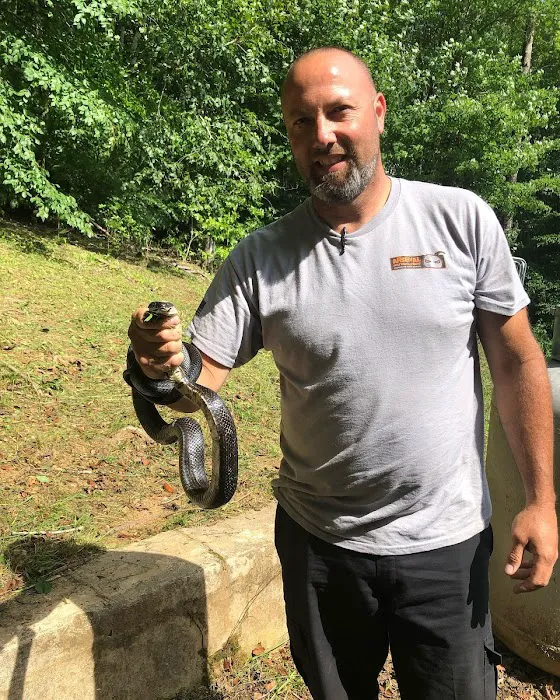 Arsenal Pest Management Picture 4