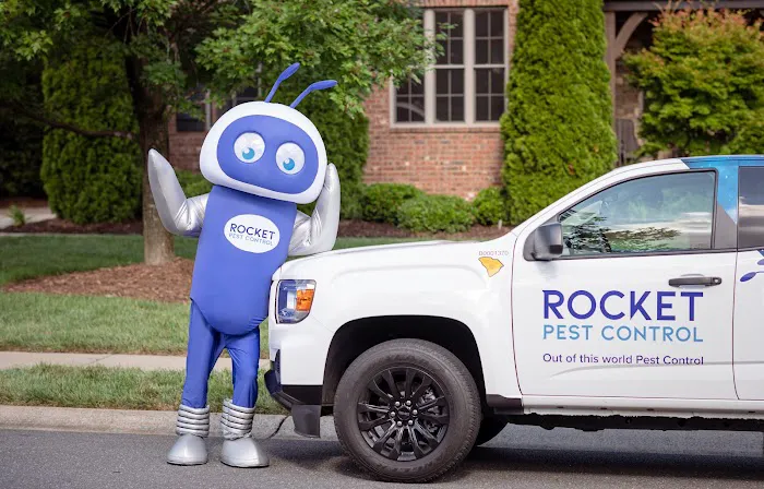 Rocket Pest Control Picture 2