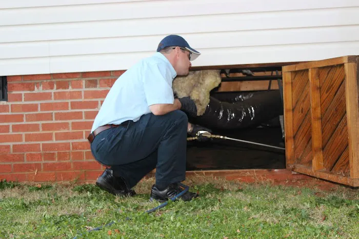 Pest Management Solutions Picture 2