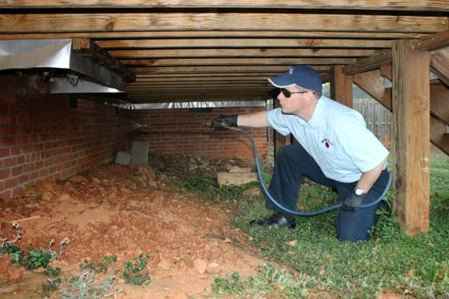 Pest Management Solutions Picture 1