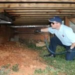 Pest Management Solutions