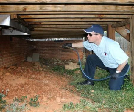 Pest Management Solutions